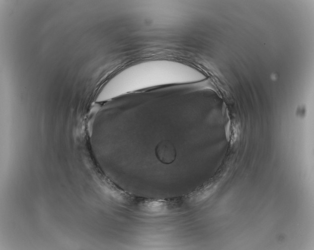 X0000089960325200707201954