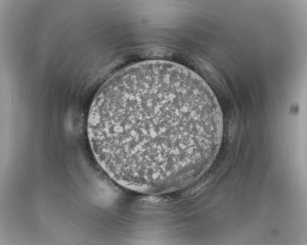 X0000089960326200707201954