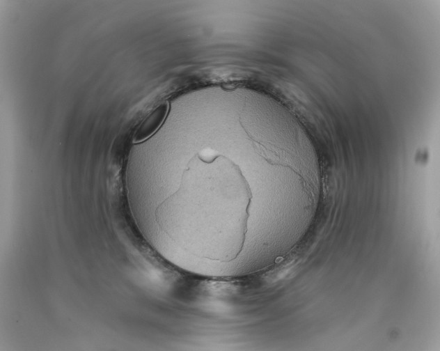 X0000089960327200707201954