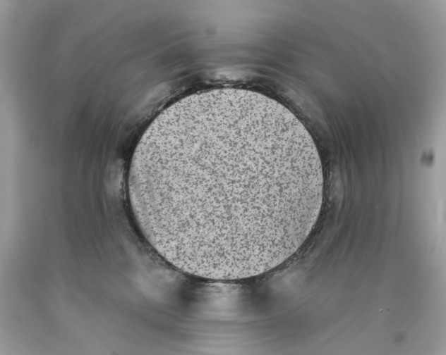 X0000089960328200707201954