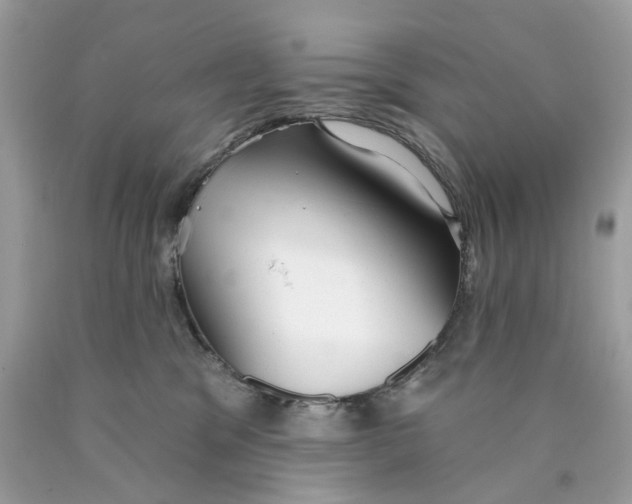 X0000089960329200707201954