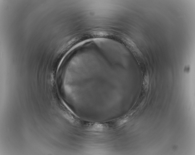 X0000089960330200707201954