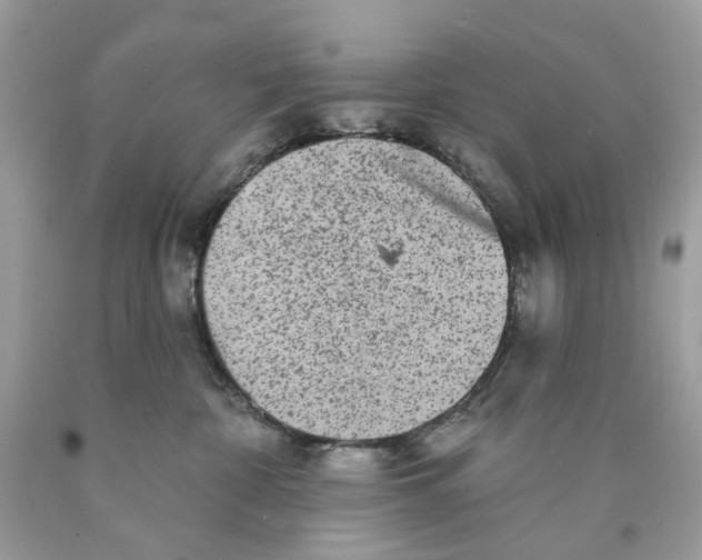 X0000089960332200707201954