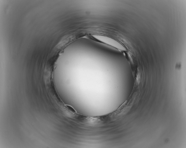 X0000089960333200707201954