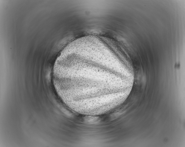 X0000089960334200707201954