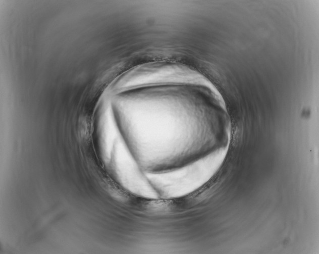 X0000089960335200707201954