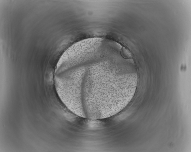 X0000089960336200707201954