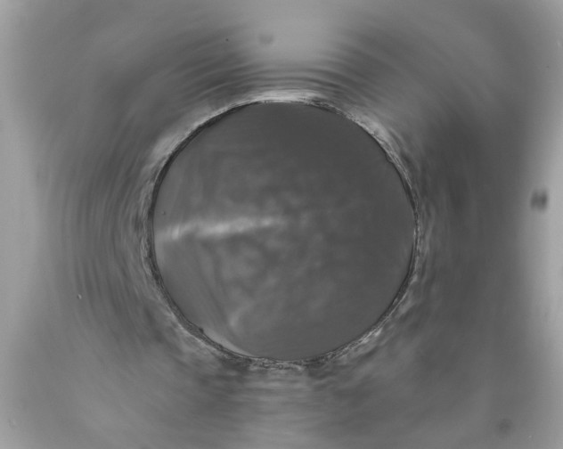 X0000089960337200707201953