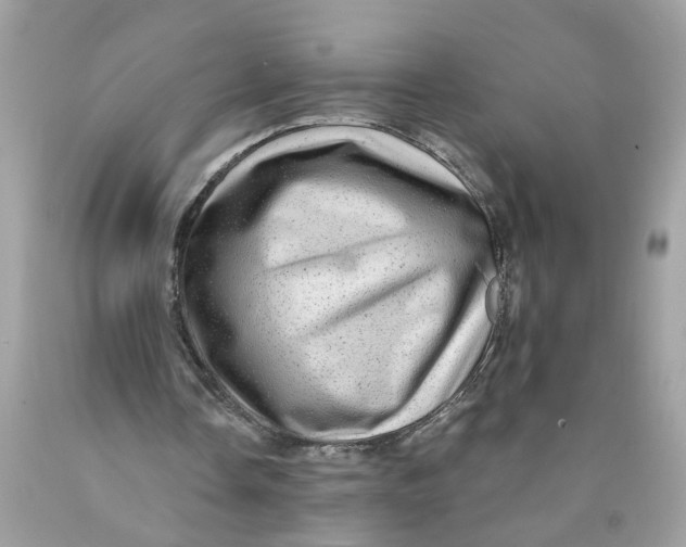 X0000089960338200707201953