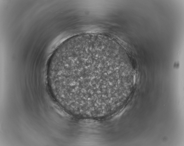 X0000089960339200707201953