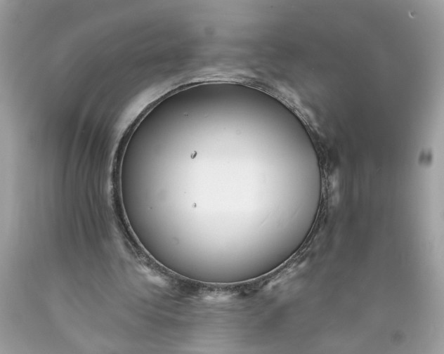 X0000089960340200707201953