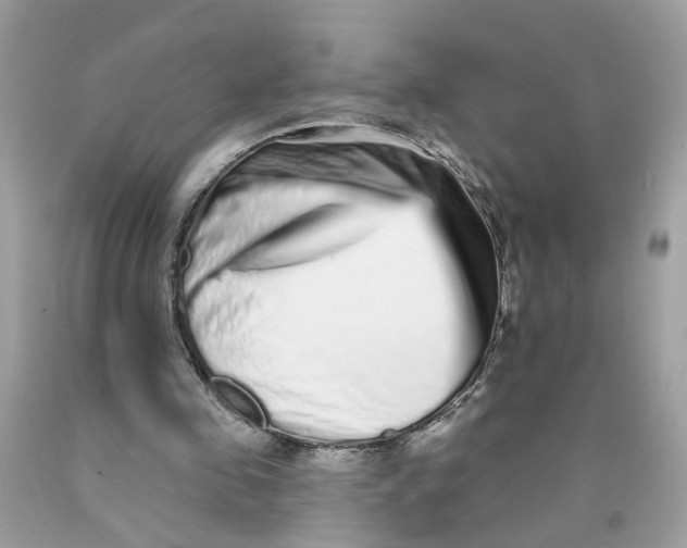 X0000089960341200707201953