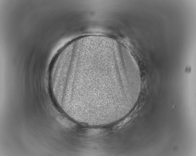 X0000089960342200707201953