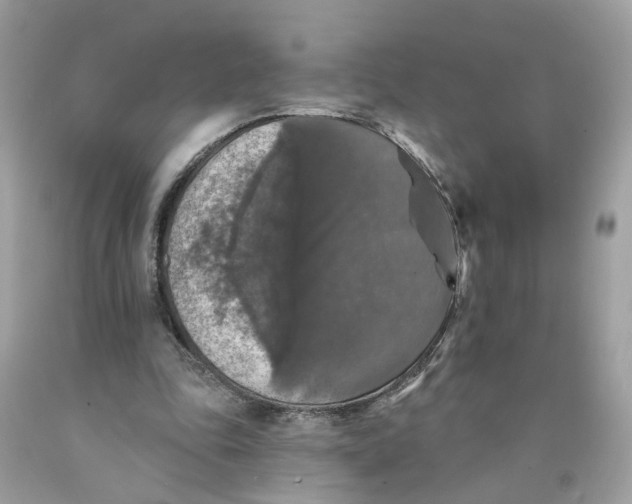 X0000089960343200707201953