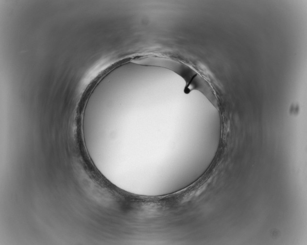 X0000089960344200707201953