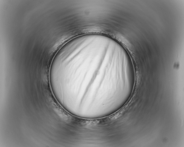 X0000089960345200707201954