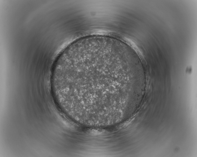 X0000089960346200707201954