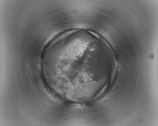 X0000089960347200707201954