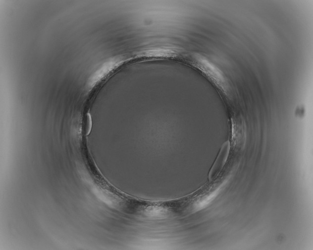 X0000089960348200707201954