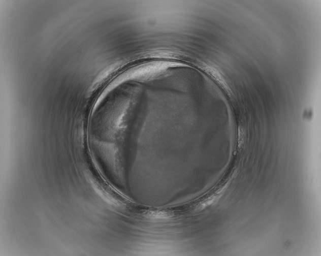 X0000089960349200707201954