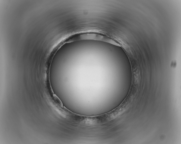 X0000089960350200707201954