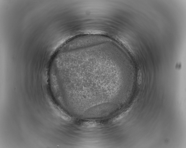 X0000089960351200707201954