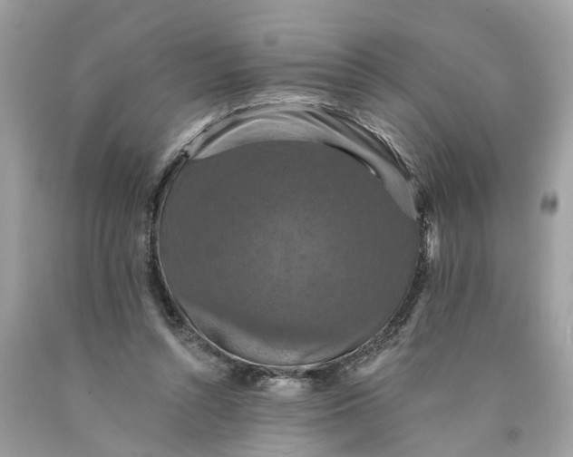 X0000089960352200707201954