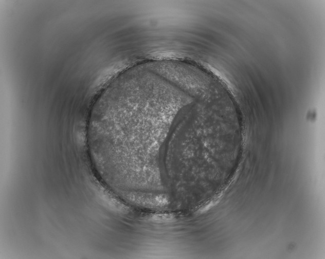 X0000089960353200707201954