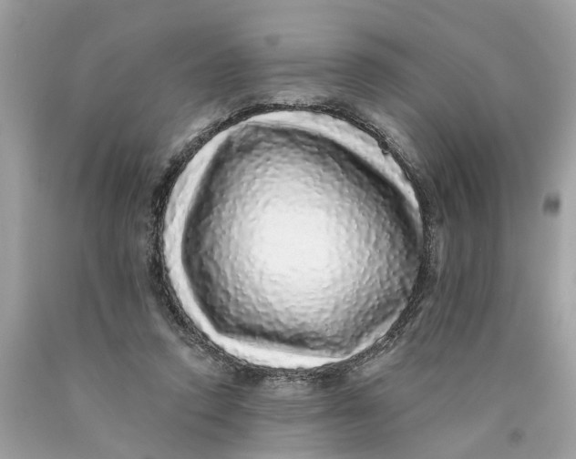 X0000089960354200707201954