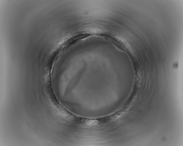 X0000089960355200707201954