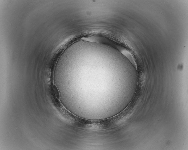 X0000089960356200707201954