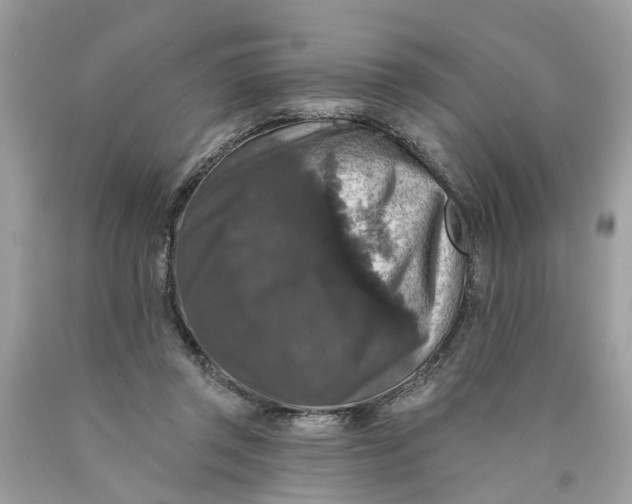 X0000089960357200707201954