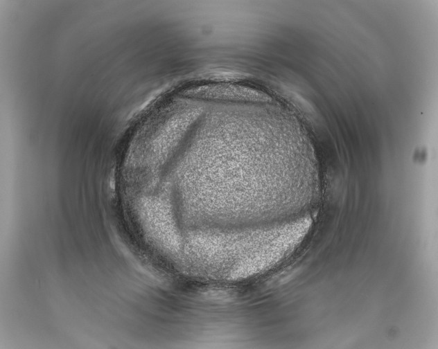 X0000089960358200707201954