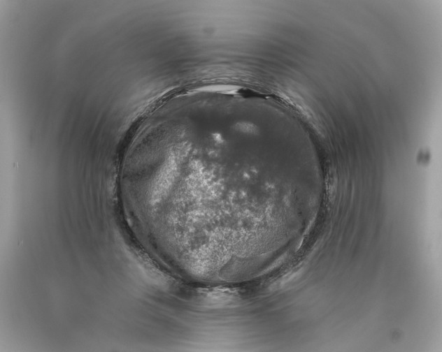 X0000089960359200707201954