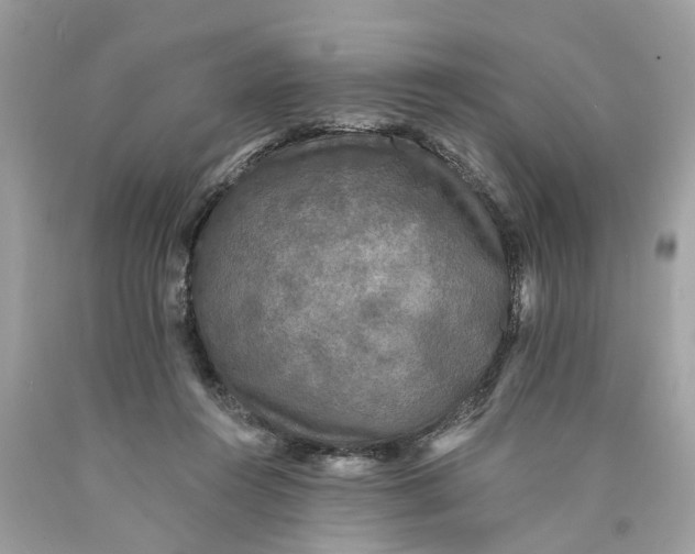 X0000089960360200707201954