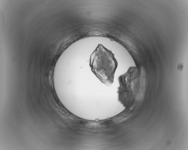 X0000089960361200707201954