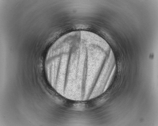 X0000089960362200707201954