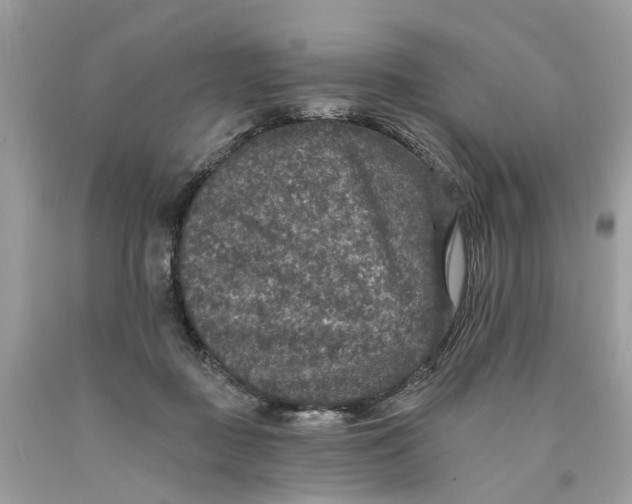 X0000089960363200707201954