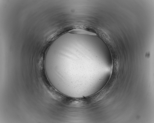 X0000089960364200707201954