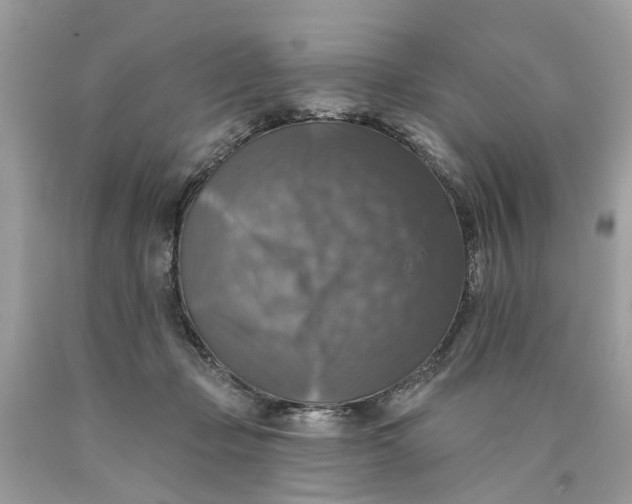 X0000089960365200707201954