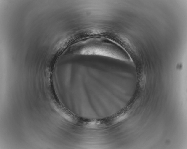 X0000089960366200707201954