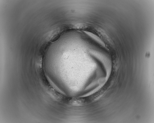 X0000089960368200707201954