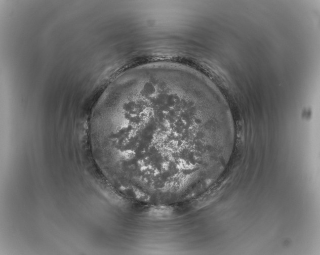 X0000089960369200707201954