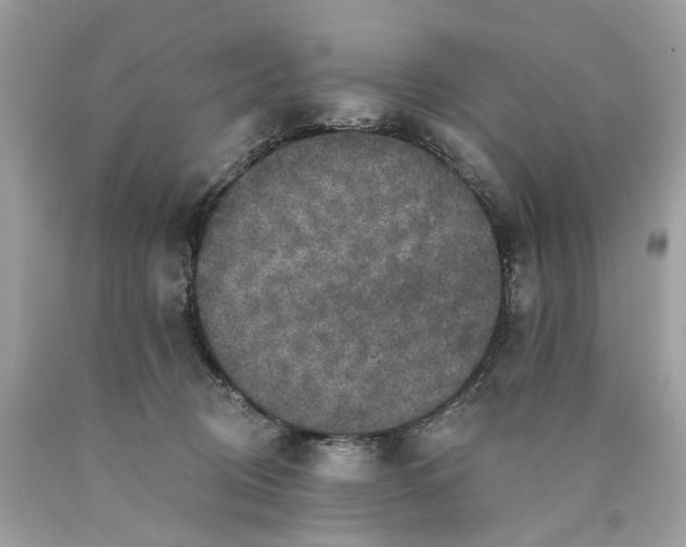 X0000089960370200707201954