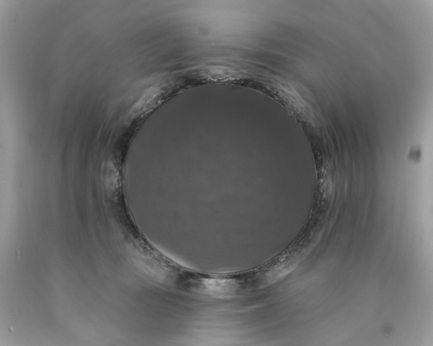 X0000089960371200707201954