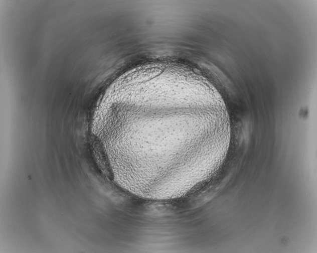 X0000089960372200707201954