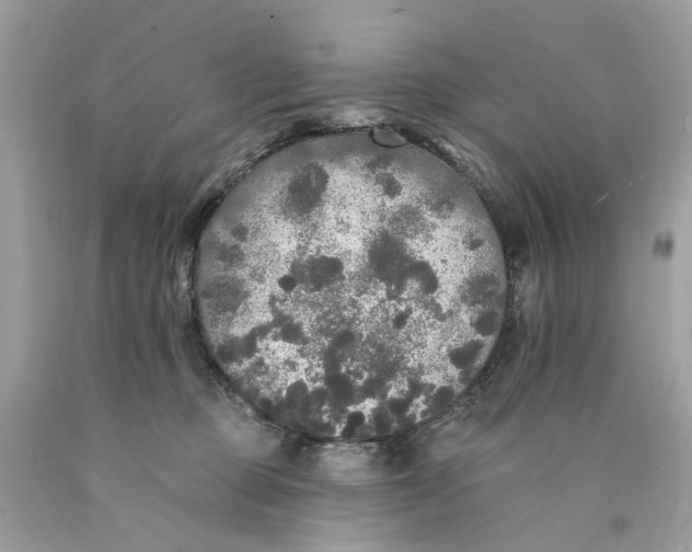 X0000089960373200707201954