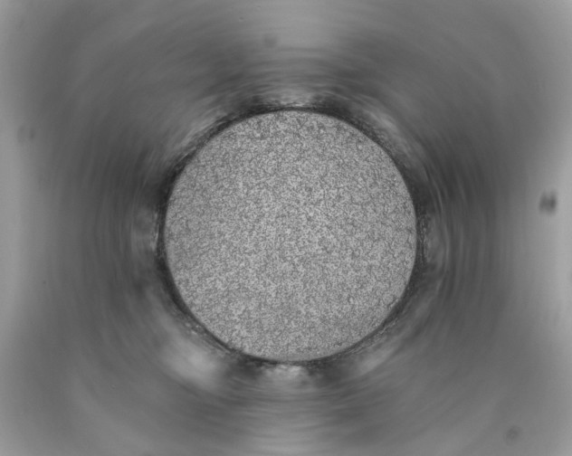 X0000089960374200707201954