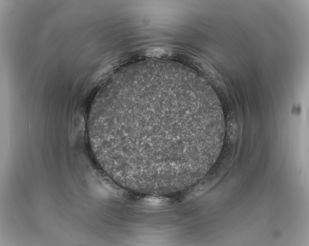 X0000089960375200707201954