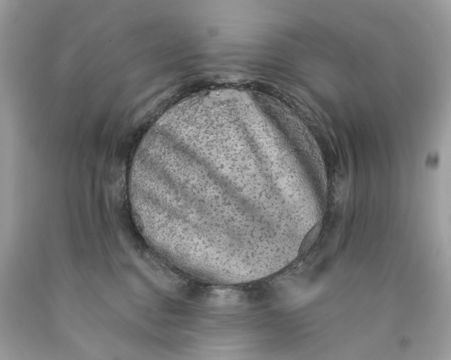 X0000089960376200707201954